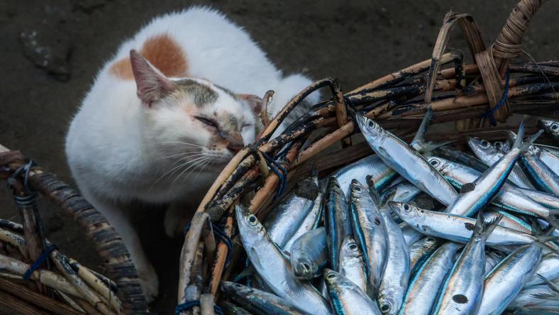 如何去掉讨厌的腥味?